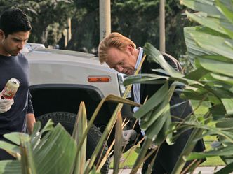 CSI: Miami