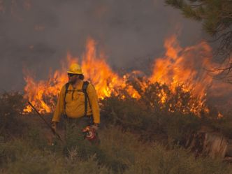 Im Zauber der Wildnis - Ein kalifornischer Traum: Der Yosemite-Nationalpark