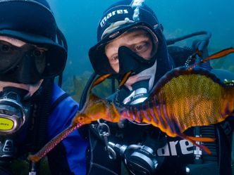 Checker Tobi und das Geheimnis unseres Planeten