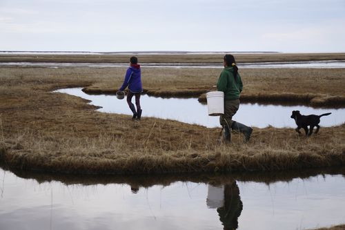 Life Below Zero - Überleben in Alaska