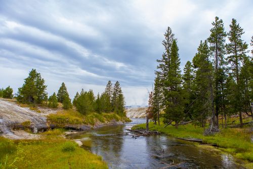 Yellowstone Nationalpark