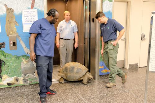 Bronx Zoo - Tierpark der Superlative