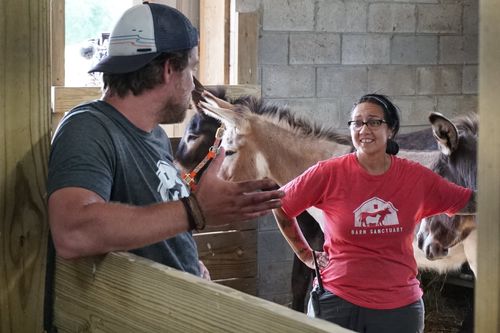 Galerie zur Sendung „Animal Farm Michigan - Zuflucht für Tiere“: Bild 1