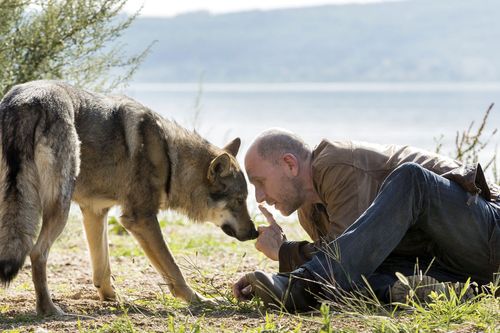 Galerie zur Sendung „Wolfsland“: Bild 1