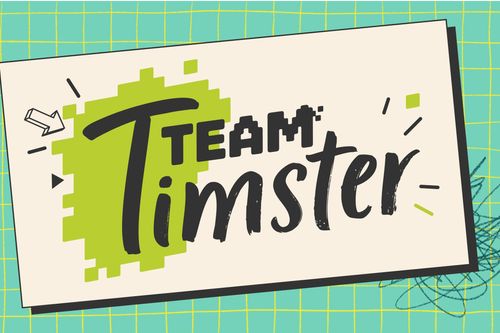 Team Timster - Spotify und Minecraft