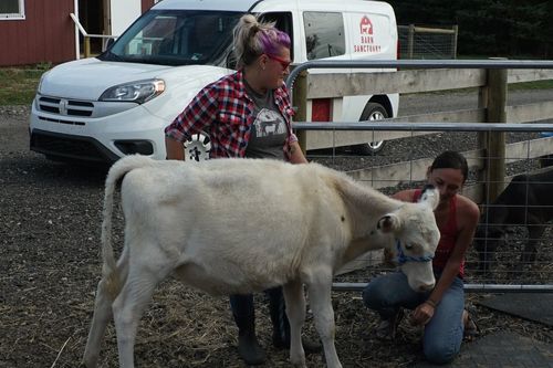 Animal Farm Michigan - Zuflucht für Tiere