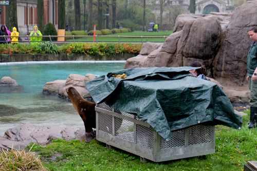 Bronx Zoo - Tierpark der Superlative