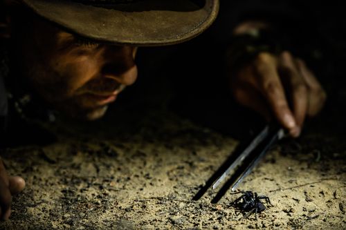 Faszinierende Tierwelt mit Coyote Peterson