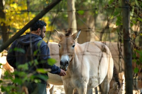 Galerie zur Sendung „Bronx Zoo - Tierpark der Superlative“: Bild 1