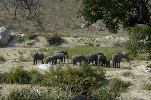 Wasserwelt Afrika