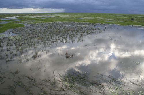 Galerie zur Sendung „Afrikas verlorenes Paradies“: Bild 1