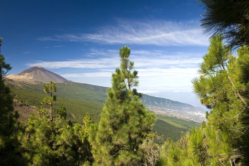 Nachhaltig unterwegs auf Teneriffa