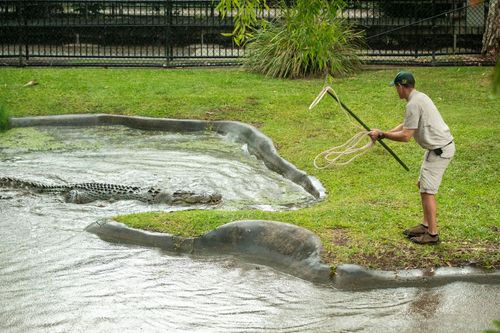 Galerie zur Sendung „Die Irwins - Crocodile Hunter Family“: Bild 1