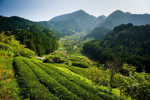 Wildes Japan - Land der tausend Inseln