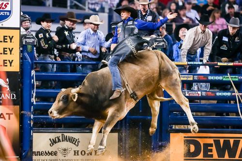 Bullriding - PBR Camping World Team Series, Springfield, MO