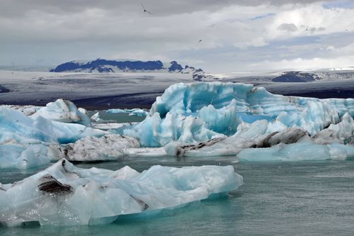 Galerie zur Sendung „Arctic Drift - Ein Jahr auf dünnem Eis“: Bild 1
