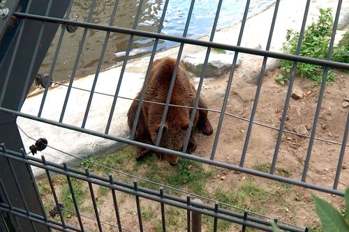 Galerie zur Sendung „Zootiere: Leiden hinter Gittern?“: Bild 1