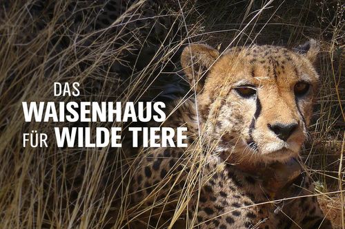Das Waisenhaus für wilde Tiere - Abenteuer Afrika