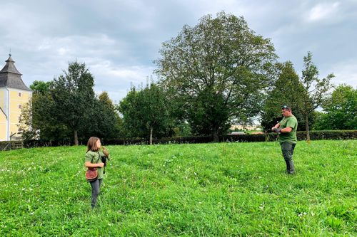 Zurück zur Natur