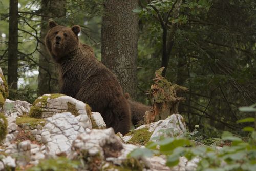 Galerie zur Sendung „Schätze der Natur“: Bild 1