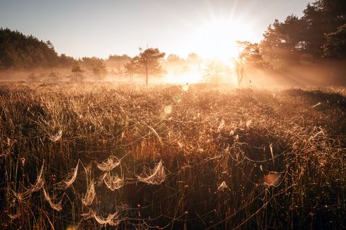 Galerie zur Sendung „Heimat Natur“: Bild 1