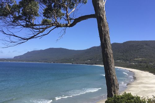 mareTV: Tasmanien - Australiens größte Insel