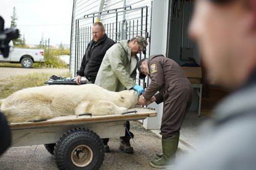 Galerie zur Sendung „Unsere Helden: Die Tierärzte in der Arktis“: Bild 1