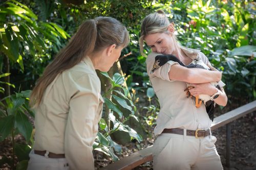 Galerie zur Sendung „Die Irwins - Crocodile Hunter Family“: Bild 1