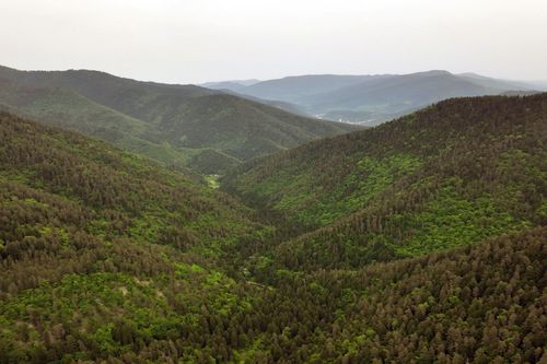 Georgiens wilde Schönheit - Von der Schwarzmeer-Küste in die Berge