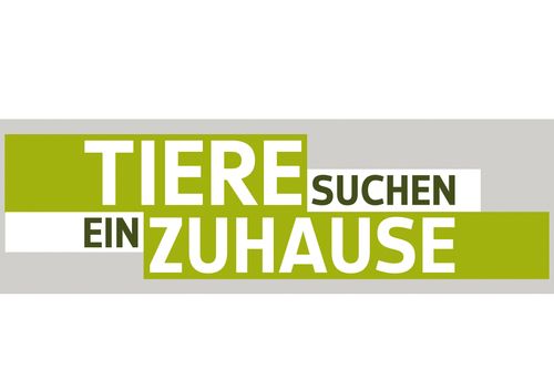 Galerie zur Sendung „Tiere suchen ein Zuhause“: Bild 1