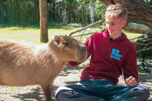 Galerie zur Sendung „Elefant, Tiger & Kids“: Bild 1