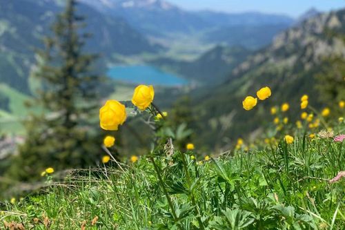 Galerie zur Sendung „Das Tannheimer Tal - Juwel der Berge“: Bild 1