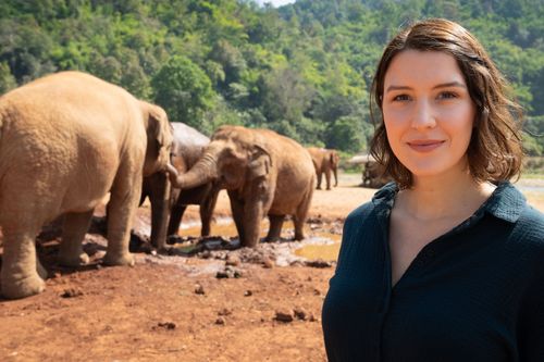 Faszination Erde - mit Hannah Emde - Thailand - Der Wildnis zu nah?