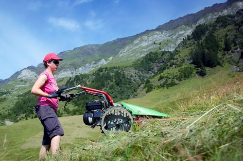 Bergbäuerinnen in Südtirol - Sommer