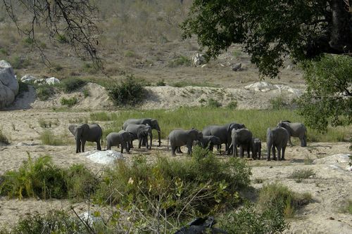 Galerie zur Sendung „Wasserwelt Afrika“: Bild 1