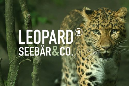 Galerie zur Sendung „Leopard, Seebär & Co.“: Bild 1