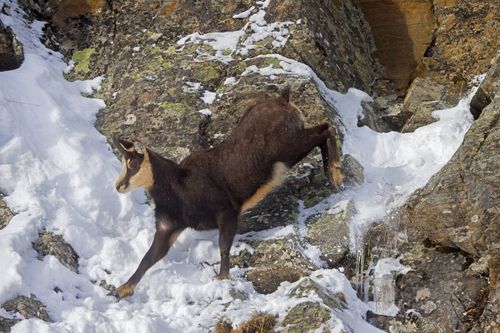 Galerie zur Sendung „Die Alpen im Winter“: Bild 1