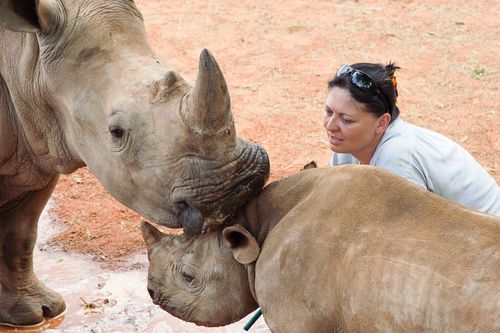 Die Superkräfte der Tiere