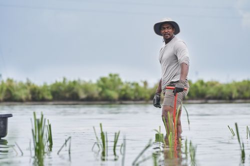 Der Strand der Haie mit Anthony Mackie: Golfküste