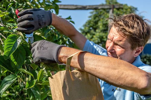 Rasch durch den Garten