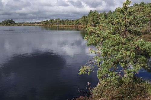 Galerie zur Sendung „Nationalparks im Baltikum“: Bild 1