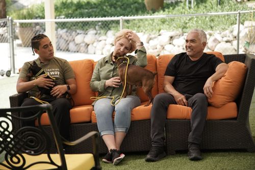 Cesar Millan: Guter Mensch, guter Hund