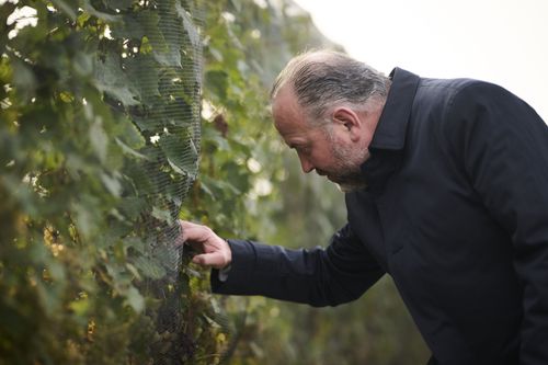 Galerie zur Sendung „Winzerlegenden“: Bild 1