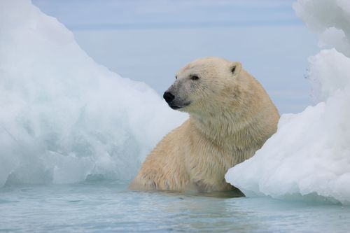 Galerie zur Sendung „Islands: Die wilden Labore der Natur“: Bild 1