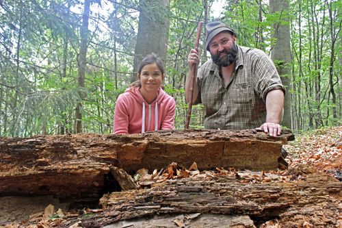 Anna und der wilde Wald