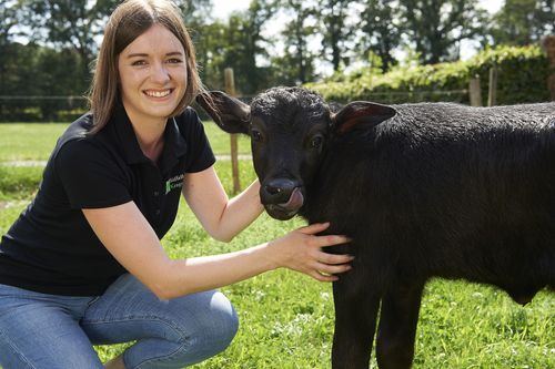 Galerie zur Sendung „Land und lecker“: Bild 1