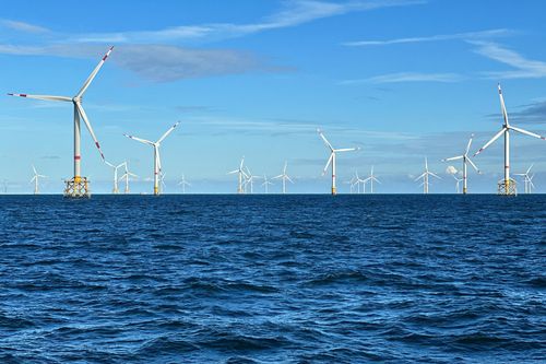 Windparks im Meer - Chance oder Risiko für die Natur?