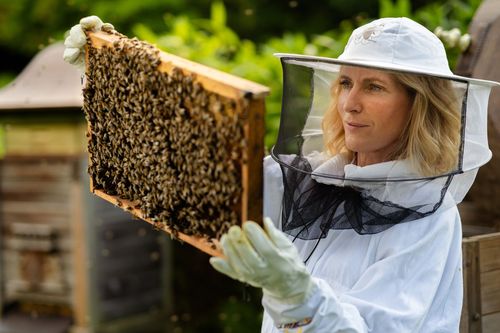 Das Ende der Insekten? - Maria Furtwängler auf Spurensuche