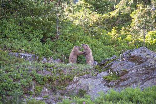 Galerie zur Sendung „Nationalparks: USA“: Bild 1