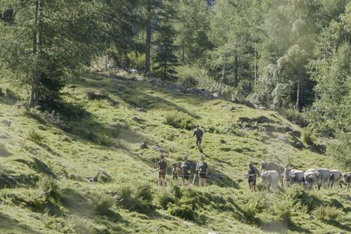 Galerie zur Sendung „Land der Äcker - Die Bauern und die Politik“: Bild 1